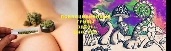 первитин Беломорск
