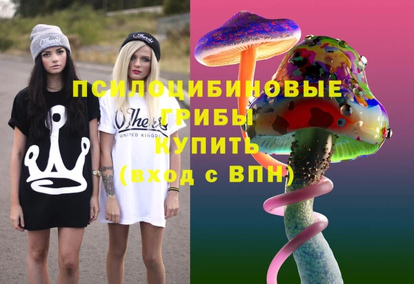 кокаин Белокуриха