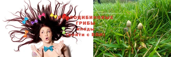 хмурый Белоозёрский