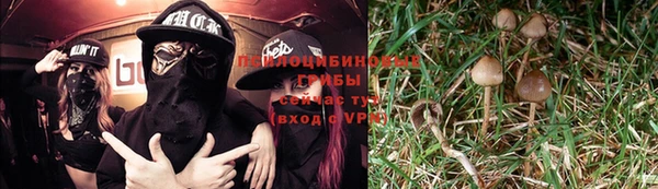 первитин Беломорск
