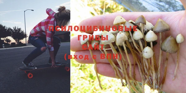 кокаин Белокуриха