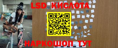 PSILOCYBIN Боровичи