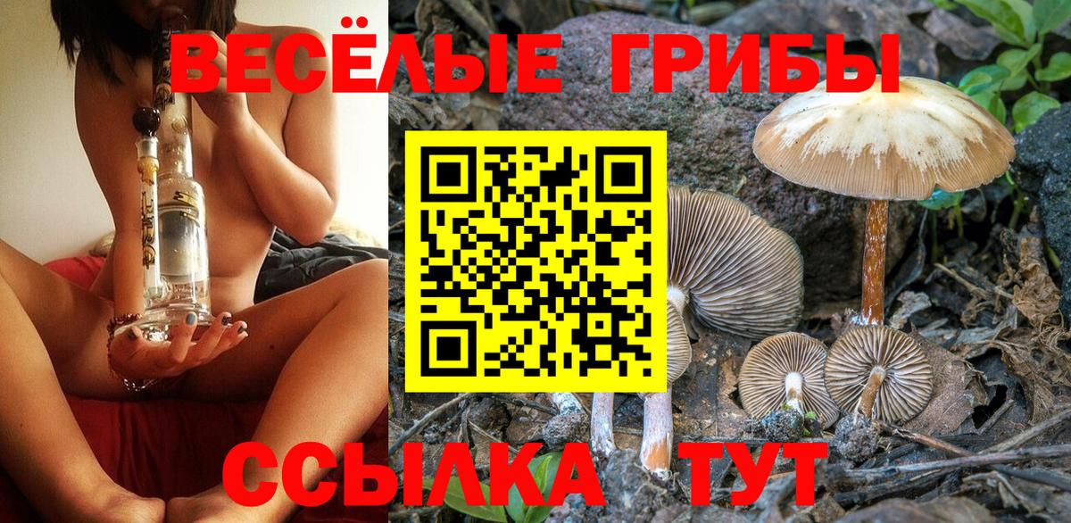 Галлюциногенные грибы Psilocybe  Вход с VPN  Великие Луки 